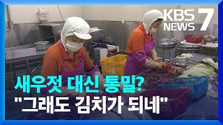 '비건김치', '매운김치'…'광주김치' 다양해진다 / KBS  2024.08.12.