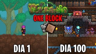 PASSEI 100 DIAS em UM BLOCO no TERRARIA!