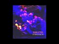 Rioleval - Stringvision (Extended Mix)