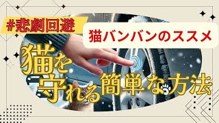 【大惨事寸前】エンジンルームから猫の鳴き声が…！猫バンバンの正しいやり方を徹底解説！