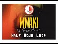 Zerb - Mwaki ft. Sofiya Nzaun - half hour loop
