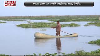 Kolleru Lake Becomes Pollution In Eluru | West Godavari | MAHAA NEWS