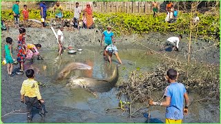Best Traditional Hand Fishing By Village Pond || Primitive System Fishing Asian Village People