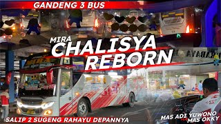 SANGAR TENAN🔥MIRA INI MAMPU SALIP 2 SUGENG RAHAYU DEPANNYA!! MIRA 7259 CHALISYA REBORN