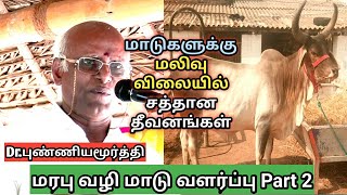 மாடுகளுக்கு சிறந்த தீவனங்கள் எவை | மரபு வழி மாடு வளர்ப்பு Part 2