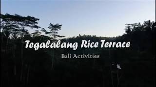 Tegalalang Rice Terrace