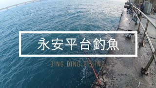 DINGDING 釣遊 高雄永安平台 釣遊趣  part 11