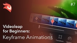 Enlight Videoleap for Beginners: Keyframe Animations
