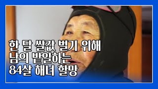 ['해녀의 꿈, 숨비소리' ②] 한 달 쌀값 벌기 위해 남의 밭일하는 84살 해녀 할망