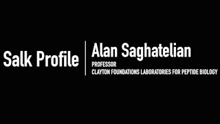 Salk Profile: Prof. Alan Saghatelian