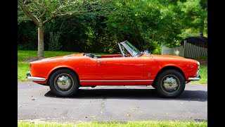 1965 Alfa Romeo Giulia Spider 1600 Walk-around Video