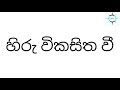 hiru vikasitha karoke without asanka priyamantha හිරු විකසිත වී sl bula studio.