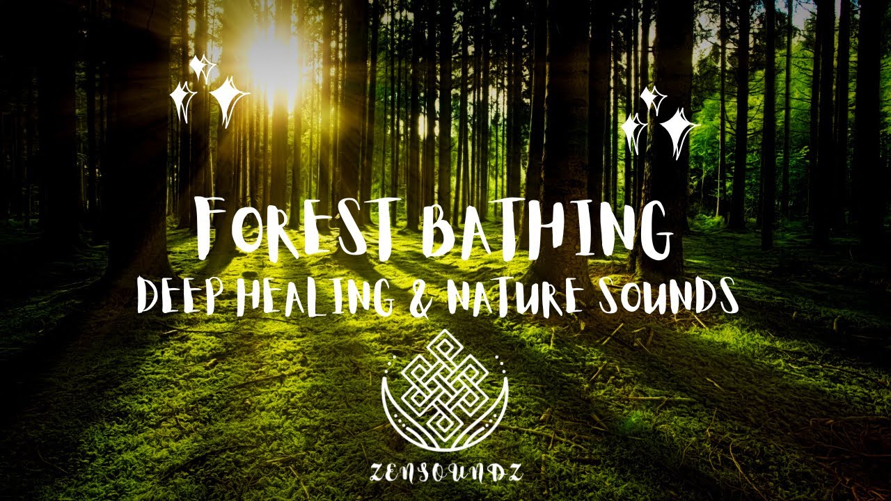 Forest Bathing Meditation Music||Pure Relaxation|Deep Healing & Nature ...