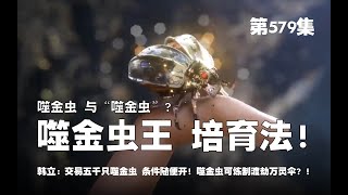 凡人修仙传 第579集 。噬金虫 与 “噬金虫”？噬金虫王的 培育法？！交易五千只完全体噬金虫？条件随便开！完全体噬金虫可炼制堵劫万灵伞？！【第1901~1903章】#ai #Ai有声小说