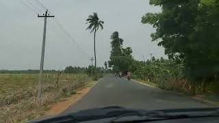 Beautiful village Road I சீப்ளாபுத்தூர் I #villagelife #greenroad #கிராமப்புற சாலை #காவிரி