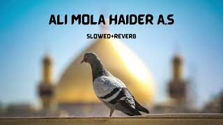 Ali Mola Haider | By Farhan Ali Waris | Manqabat | slowed & reverb | 2023
