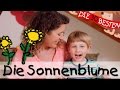 🌺 Die Sonnenblume - Singen, Tanzen und Bewegen || Kinderlieder