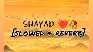 Shayad ( Lofi ) | [slowed & reverb]Arijit Singh | Bollywood Lofi