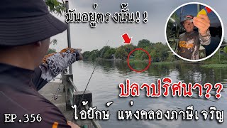 🎣🐠We are Angler EP:356 “ปริศนาปลาใหญ่ ไอ้ยักษ์แห่งคลองภาษีเจริญ มันมีจริง!!“|ตกปลาคลอง