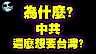 中共想要吃掉台灣的真正原因｜香港被中共擊落，台灣會是下一個目標？