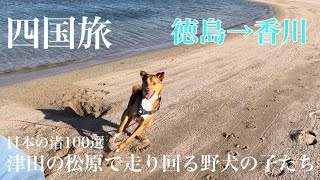 キャンピングカーで犬と行く四国旅！徳島鳴門の渦潮→香川津田の松原へ