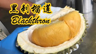 Durian Hours 黑刺榴莲 BlackThorn Durian | 6月短暂榴莲季节结束 | 来临8月份还有一季 到时千万别错过马来西亚的榴莲盛季