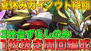 【1枚抜き】ずらしのみ！3分台！海の家の店主・ガイノウト降臨 スキル上げ編成！指定リーダー報酬全13種にも対応！正月ノルディスで高速周回！【パズドラ】