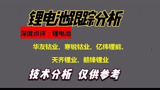 点评：华友钴业、寒锐钴业、亿纬锂能、 天齐锂业、赣锋锂业