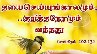 தயை செய்யும் நேரம்