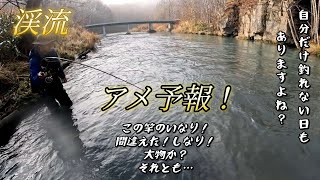 【渓流釣り】爆釣！アメマス連発！自分は不発！2024.11中旬