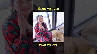 সিংহের পাশে বসে অন্তরা ভয় শেষ 🤣 Funny Video #shorts