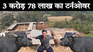 3 करोड़ 78 लाख का टर्नओवर 300 बीघे में फैले 250 मुर्रा भैंसो से | Big Buffalo Dairy Farm UP