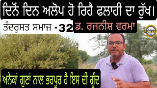 ਅਨੇਕਾਂ ਗੁਣਾਂ ਨਾਲ ਭਰਪੂਰ ਹੈ ਇਸ ਰੁੱਖ ਦੀ ਗੂੰਦ।Tandrust Smaj EPI-32।Dr Rajneesh Varma।