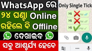 24 ଘଣ୍ଟା Online ରହିଲେ ବି Offline ଦେଖାଇବ WhatsApp ରେ - Powerful WhatsApp Secret Tips And Tricks 2023