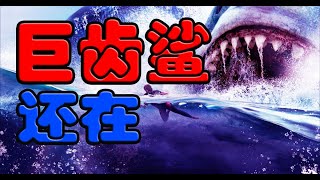 如果最Top巨齿鲨还在 Megalodon Shark @小隆最Top #whatif