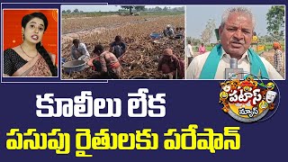 కూలీలు లేక పసుపు రైతులకు పరేషాన్ | Turmeric Farmers | Patas News | 10TV News