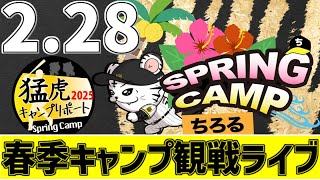 【 阪神春季キャンプ 打ち上げ LIVE 】 2/28 阪神タイガース 春季沖縄キャンプ 2025 最終日 宜野座キャンプをみんなで一緒に観戦ライブ #全試合無料ライブ配信 #阪神 #実況 #ライブ