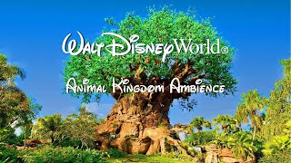 Disney Animal Kingdom Tree Of Life Ambience - WDW Today Channel