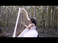 above all harpist in india gospel music