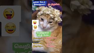 Mallipoo song with cat funny video super song#shorts