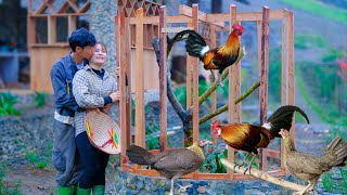 SANG VY Builds AMAZING Barn For Raising Wild Chickens, Nurturing Melon Seeds, Gardening