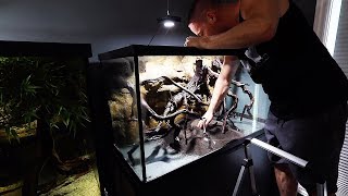 The NEW aquarium scape! The king of DIY