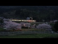 桜と鯉のぼり〜cherry blossoms and carp streamers