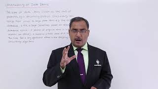 DBMS - Granularity of Data Items