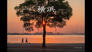 光の情景ー癒しの風景写真（４K )　湖のほとりでーMusic Material　PHOTO:Susumu Tanaka