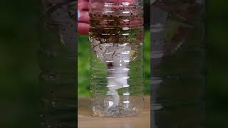 Clean Water Hack When Camping #Shorts
