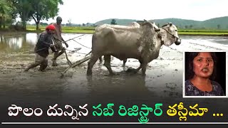 పొలం దున్నిన సబ్ రిజిస్ట్రార్ ట్రాక్టర్ తో బురద కొట్టి,గొర్రు పట్టి జంబు కొట్టి,నాటు వేసిన  తస్లీమా