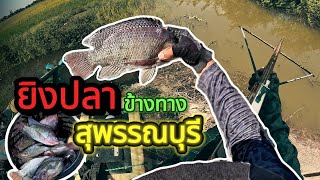 EP7ยิงปลาข้างทางสุพรรณคลองเล็กแต่ปลาเยอะ #หน้าไม้ยิงปลา #ปืนยิงปลา #fish #ยิงปลาข้างทาง