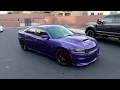 Plum Crazy Hell Cat charger | Joseph Lyte