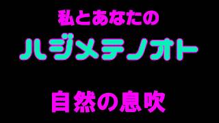 【白猫プロジェクト】初音ミク10周年記念コラボ～私とあなたのハジメテノオト～　自然の息吹